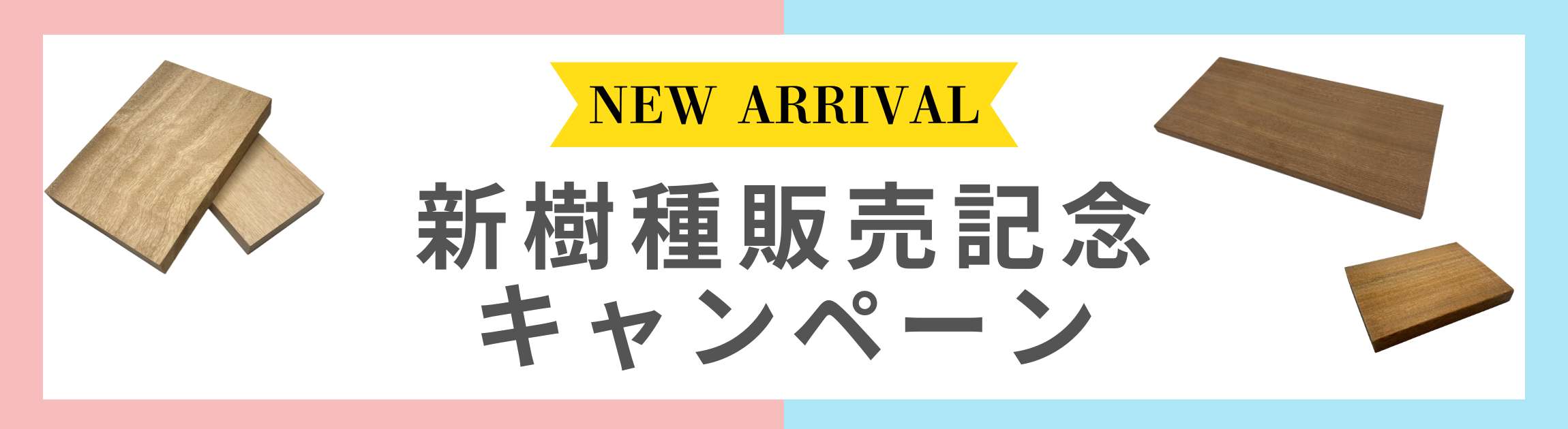 新樹種ご紹介